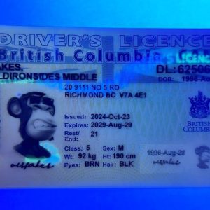 CAN British Columbia(CAN BC DL 2023 PolyCard)
