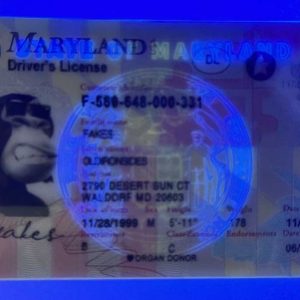 New Mexico Driver License(New NM 2024)