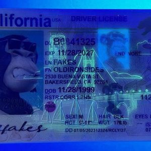 California Driver License(New CA O21)